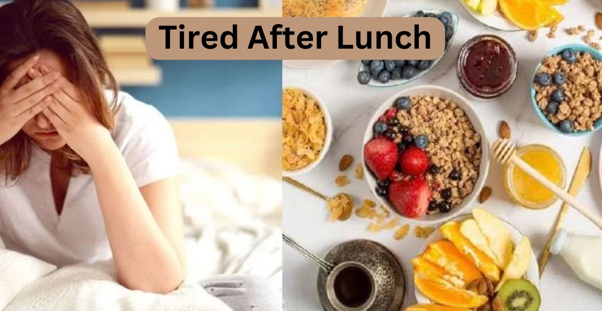Why Do You Feel Tired After Lunch? Know the Reason And Fatigue