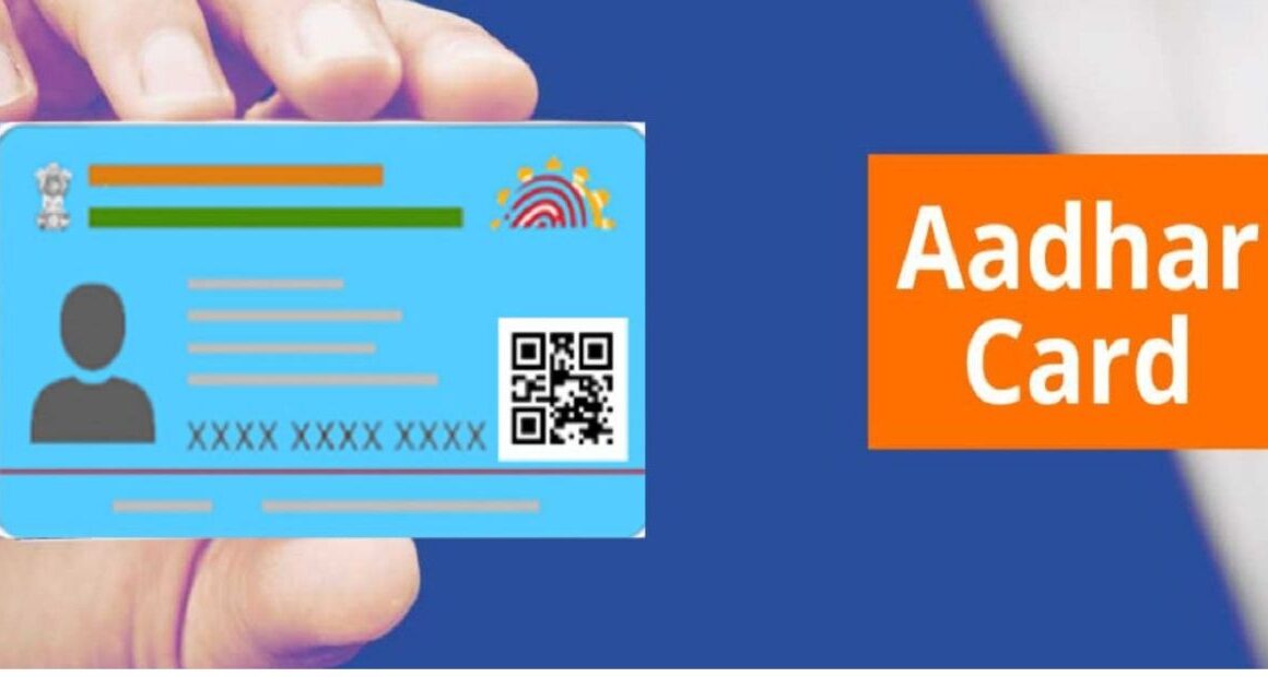 Blue Aadhar Card