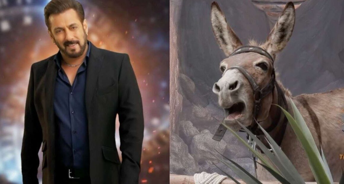 PETA Wrote Letter: After Seeing Donkey in Big Boss 18