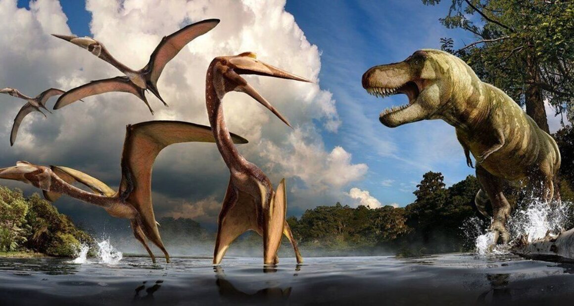 Pterosaurs: Cousins of Flying Dinosaurs Discovered and Fossils Found