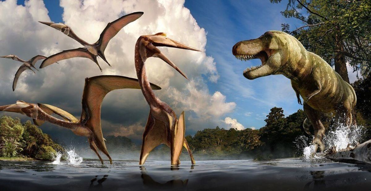 Pterosaurs