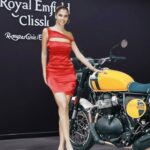 Royal Enfield Bear 650