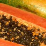 Papaya in Summer: A Delicious Path to Better Health