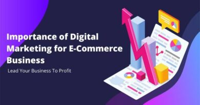 E-Commerce in Digital Marketing