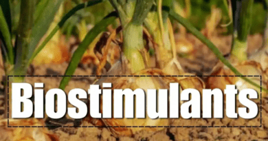 Bio Stimulants Market in India